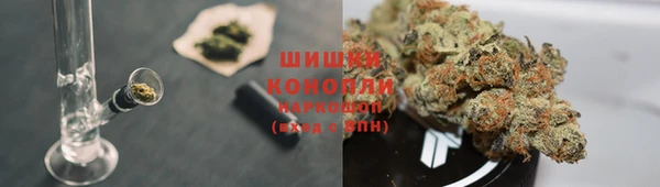 не бодяженный Белокуриха