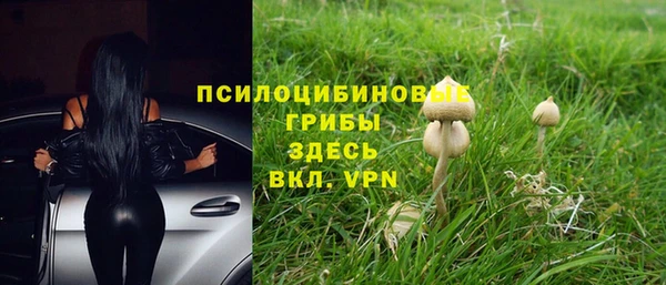 стаф Белоозёрский