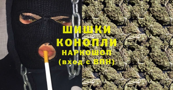 стаф Белоозёрский