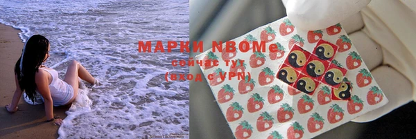 стаф Белоозёрский