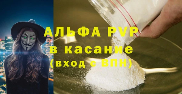 стаф Белоозёрский