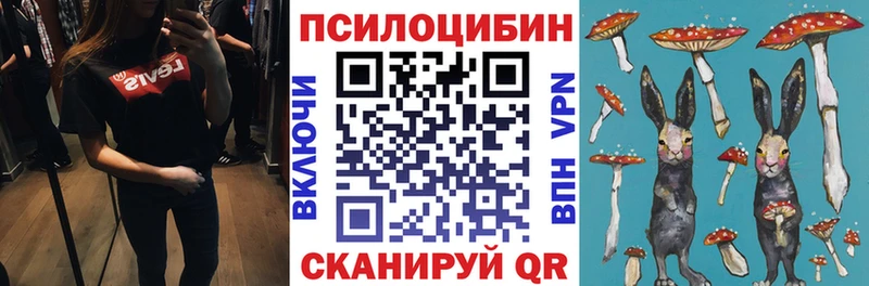 Псилоцибиновые грибы мицелий omg сайт Купино