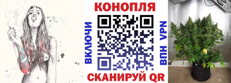 цены наркотик Купино OMG ТОР Каннабис план